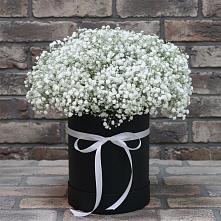 Цветочная композиция из Гипсофила в шляпной коробке #REPLACE_PRED# Малой Дубне